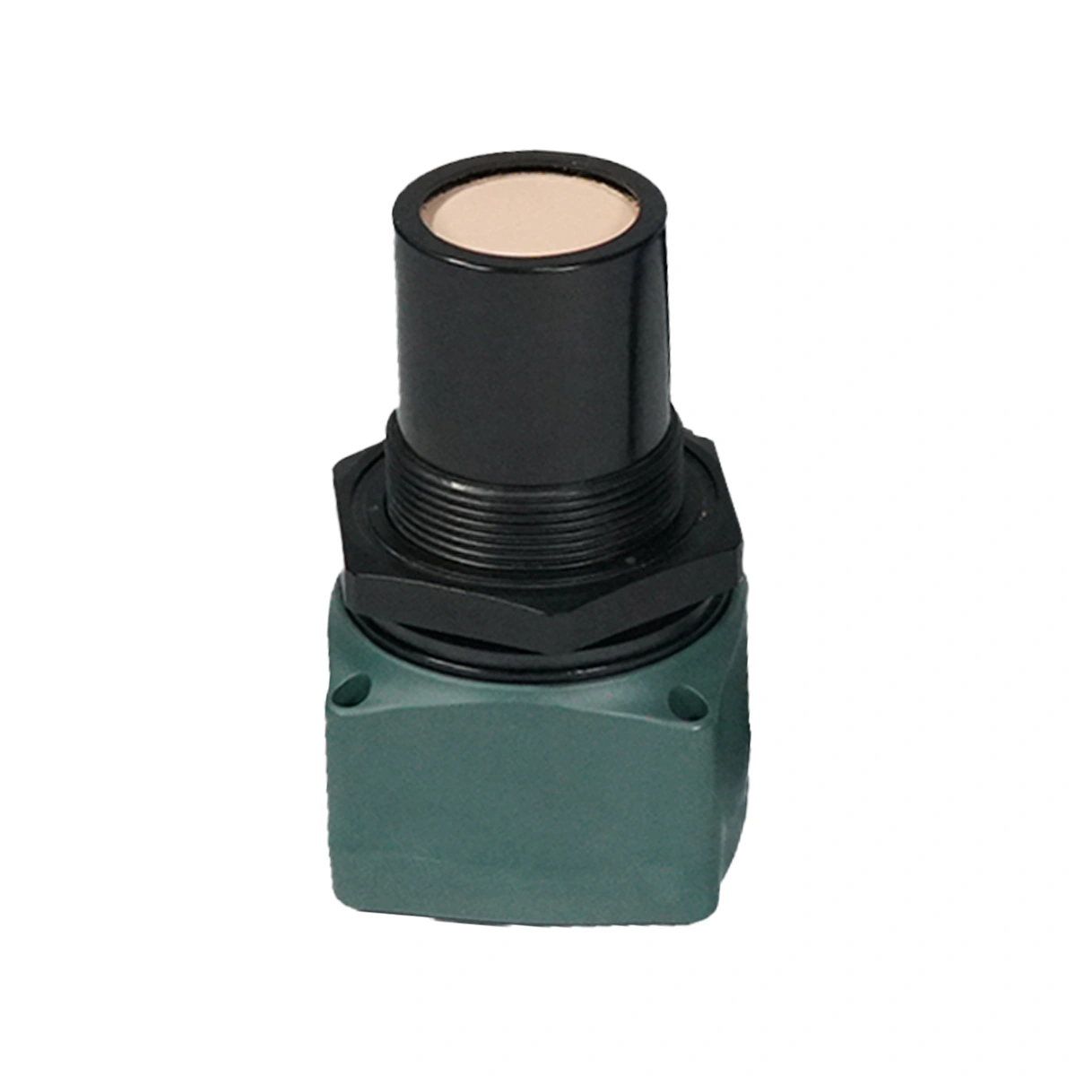 Sensor Ulrassônico Remoto (2)